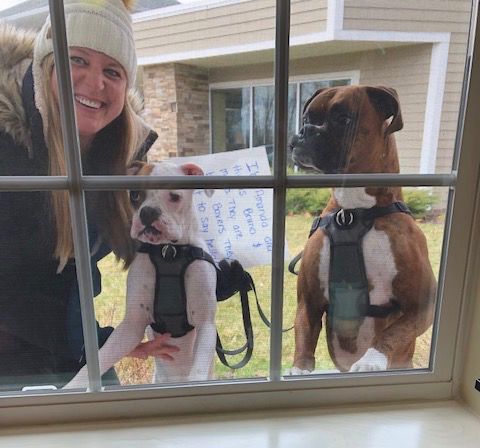Pet therapy through the window